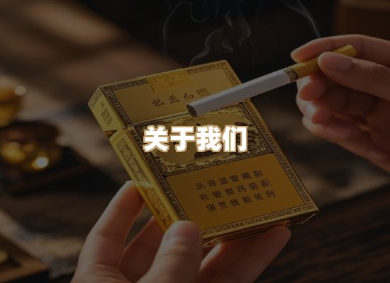 关于逸客网